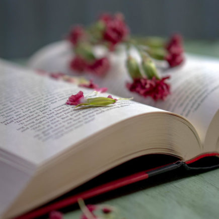 Petals laying on a book